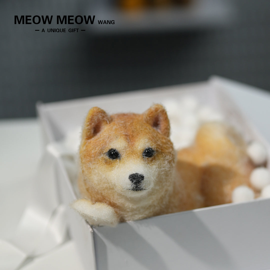 D01:Handsome Shiba Inu Squishy Dog