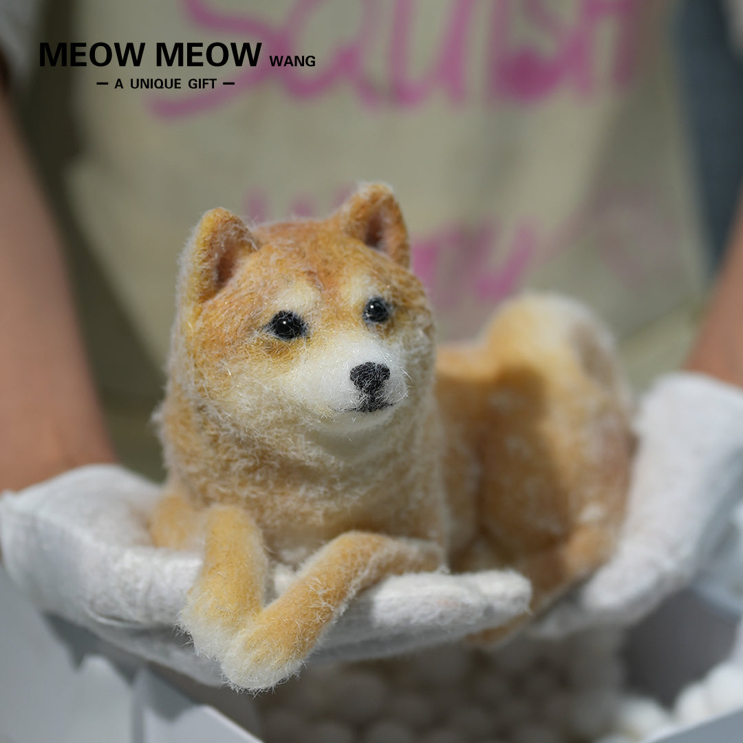 D01:Handsome Shiba Inu Squishy Dog