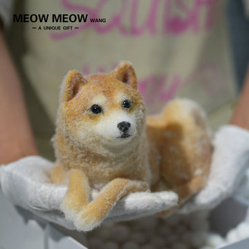 D01:Handsome Shiba Inu Squishy Dog