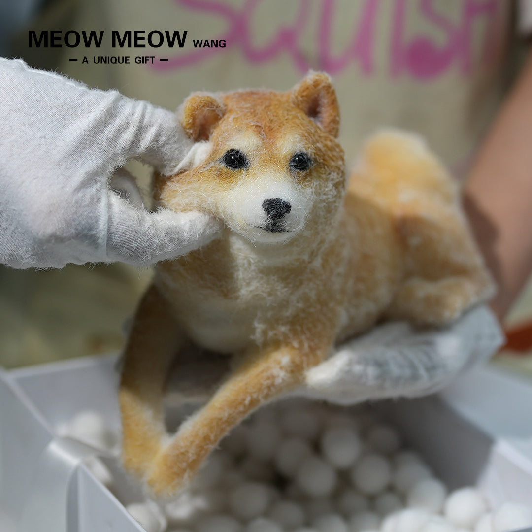 D01:Handsome Shiba Inu Squishy Dog