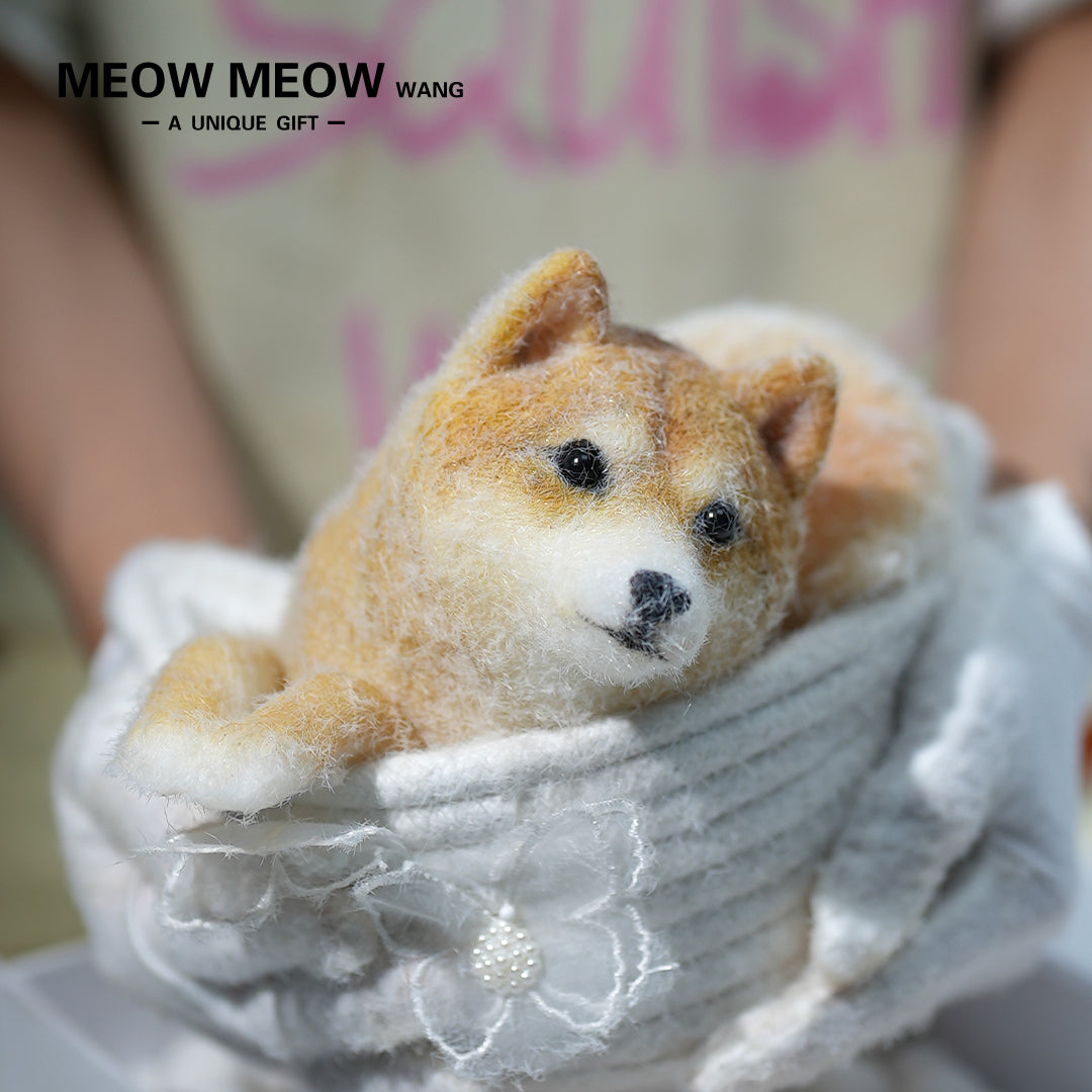 D01:Handsome Shiba Inu Squishy Dog