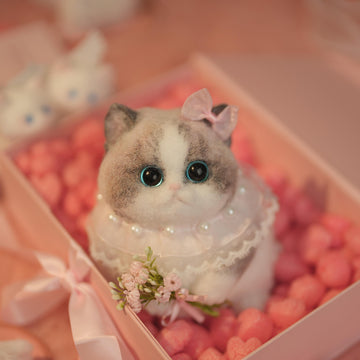 C22:A Chubby Ragdoll Cat Holding Flowers