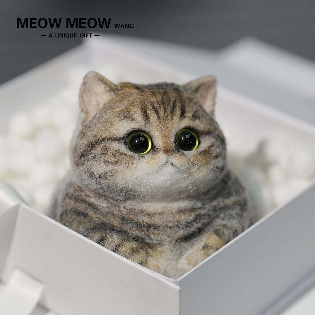 A07:Chubby Yellow-Green Raccoon Cat