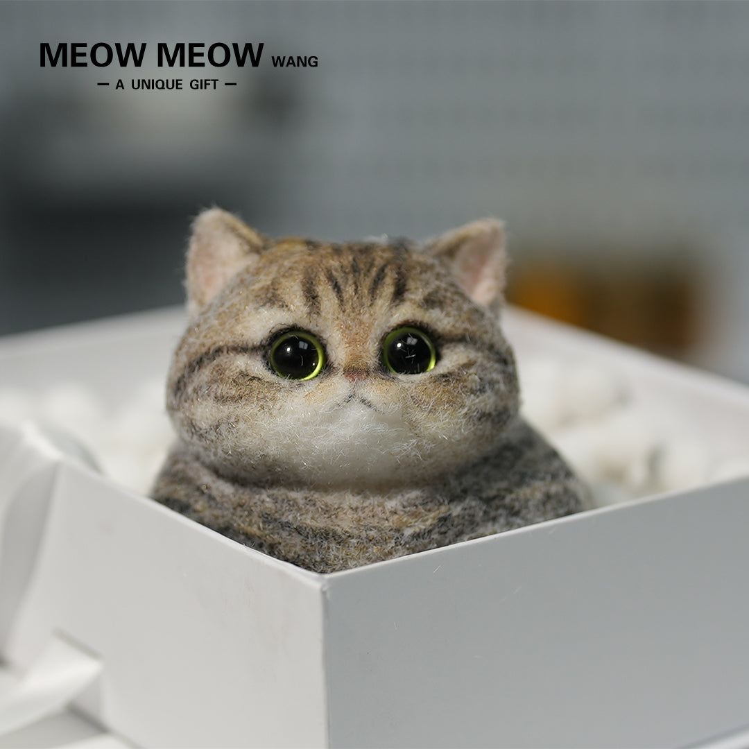 A07:Chubby Yellow-Green Raccoon Cat