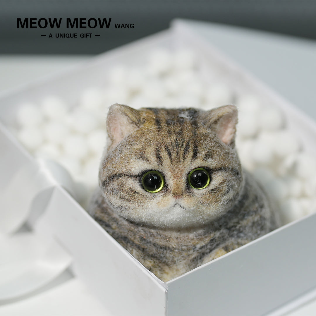 A07:Chubby Yellow-Green Raccoon Cat