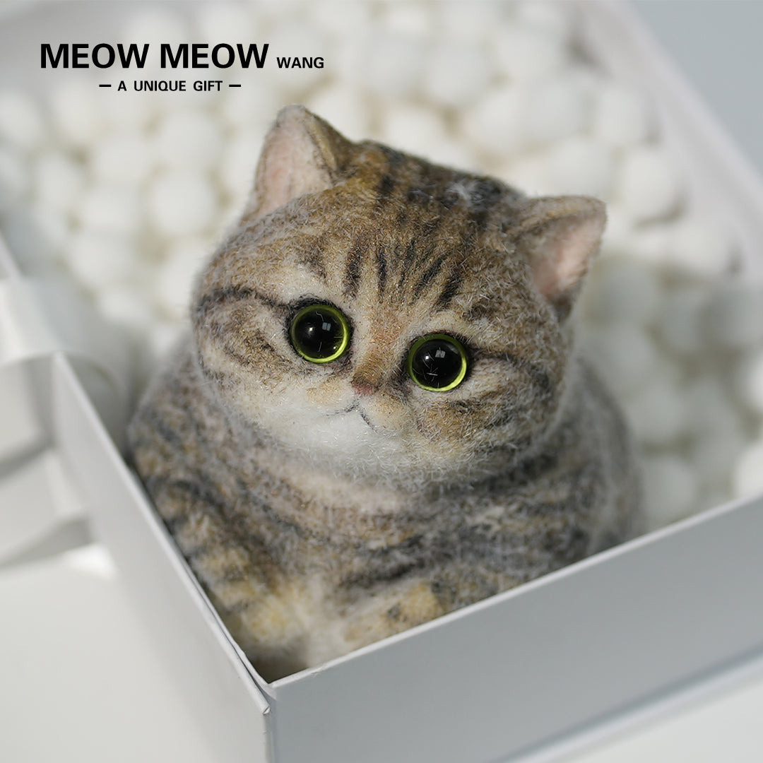 A07:Chubby Yellow-Green Raccoon Cat