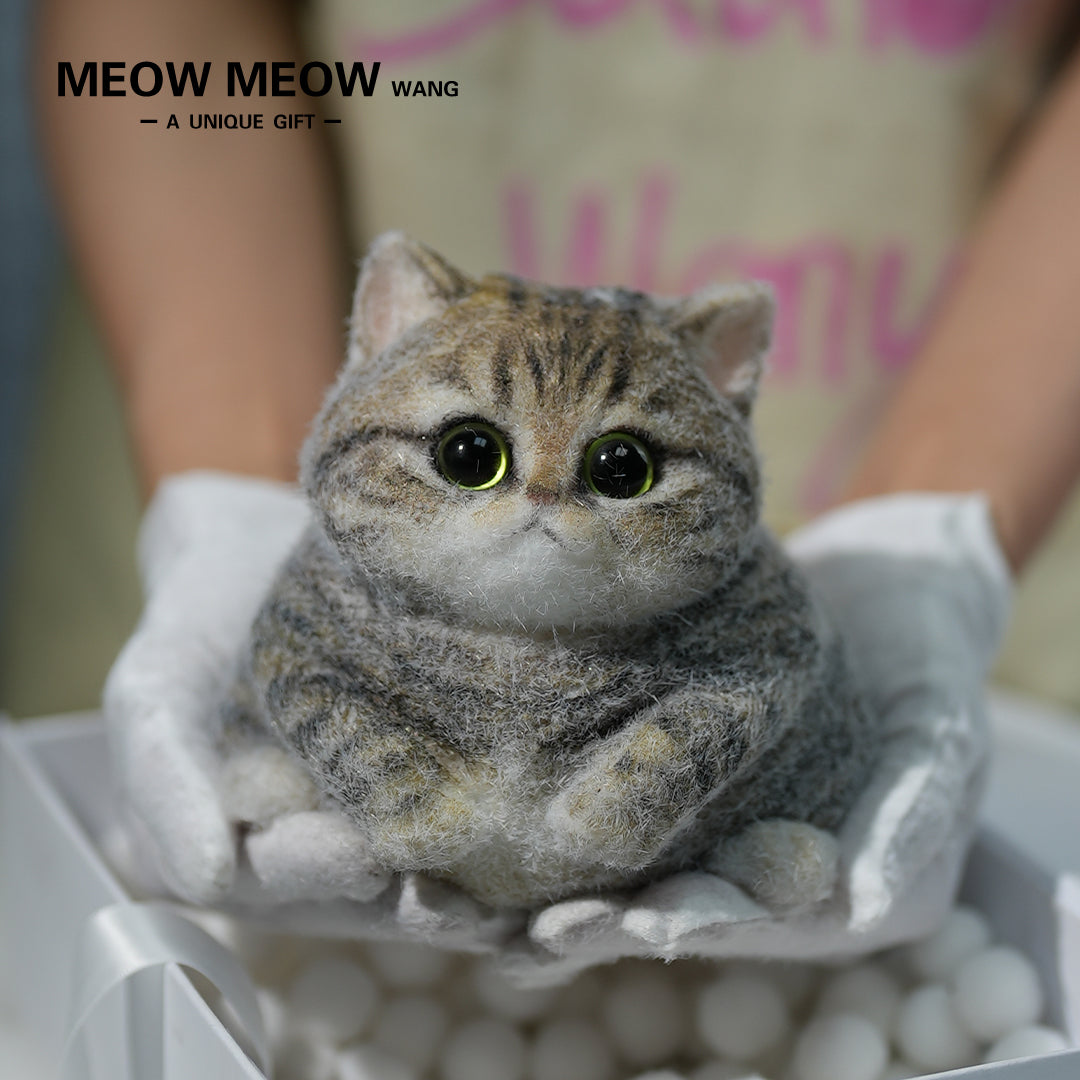 A07:Chubby Yellow-Green Raccoon Cat