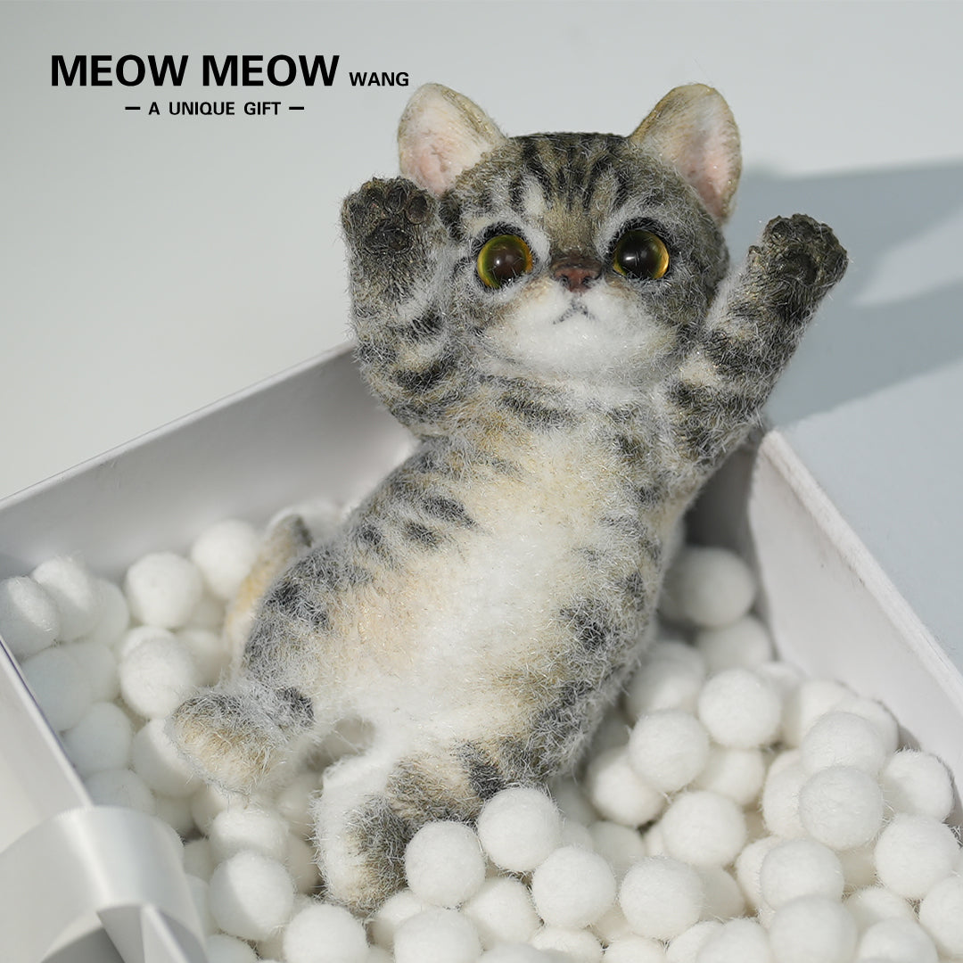 A09:Handsome Yellow-Green Eyed Cat