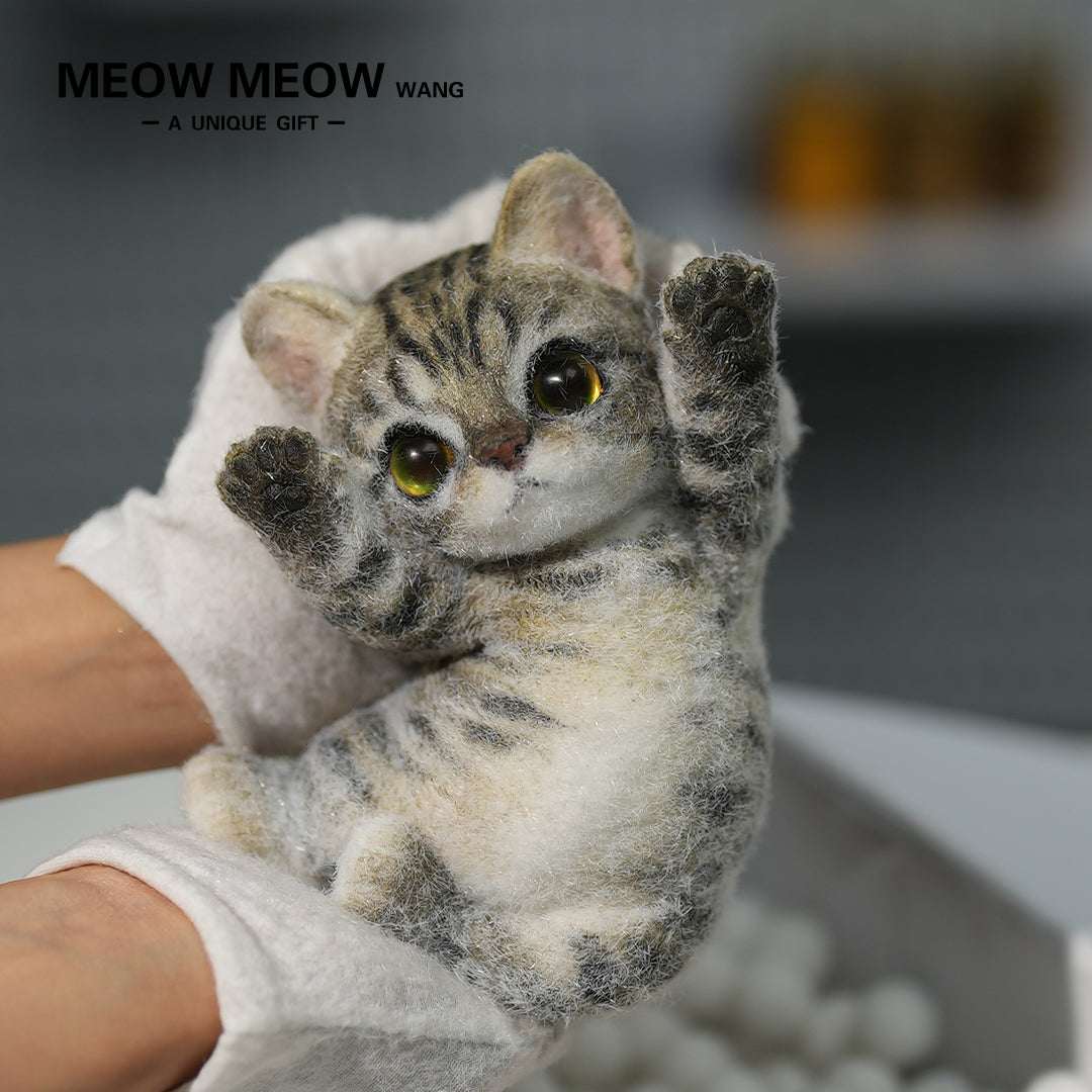 A09:Handsome Yellow-Green Eyed Cat