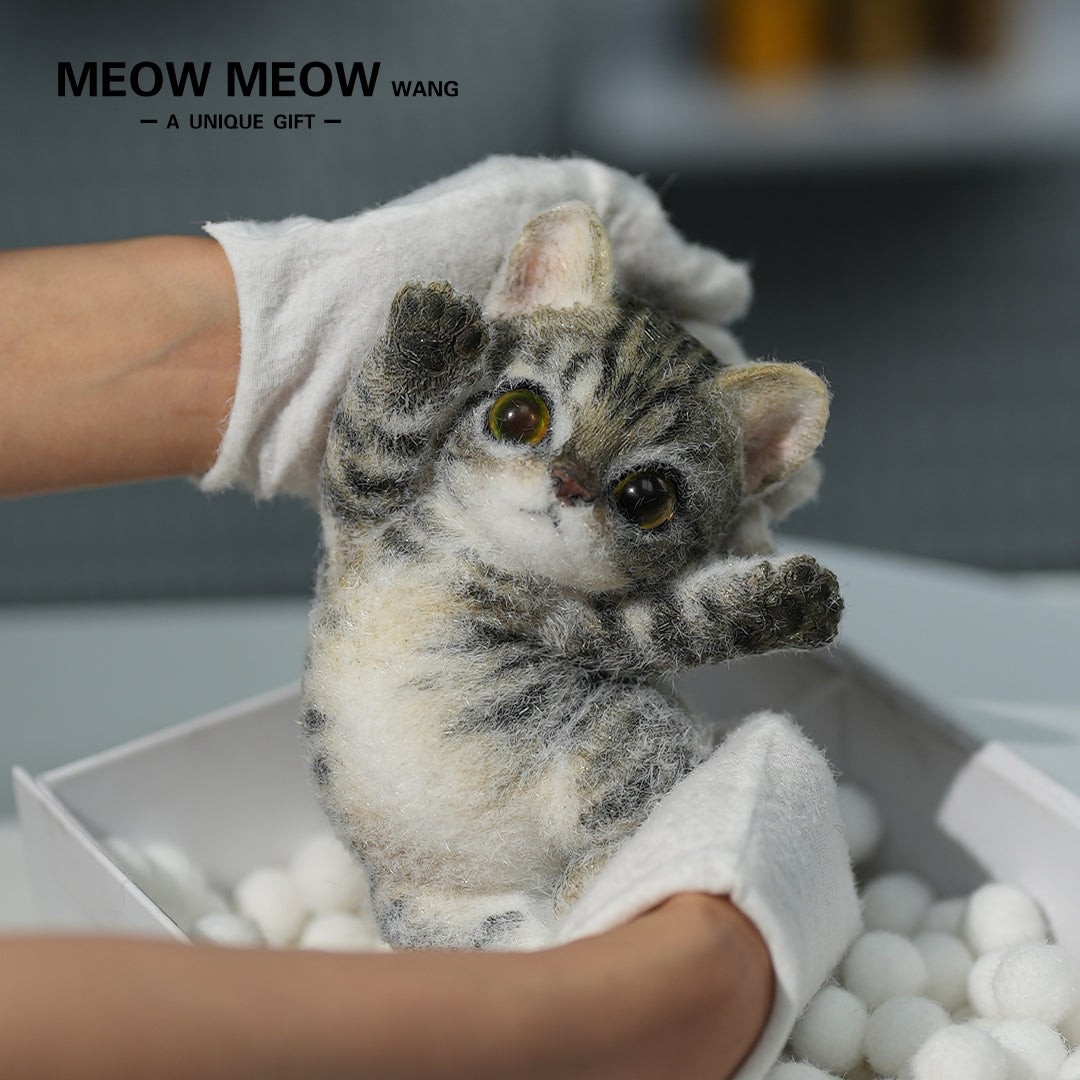 A09:Handsome Yellow-Green Eyed Cat