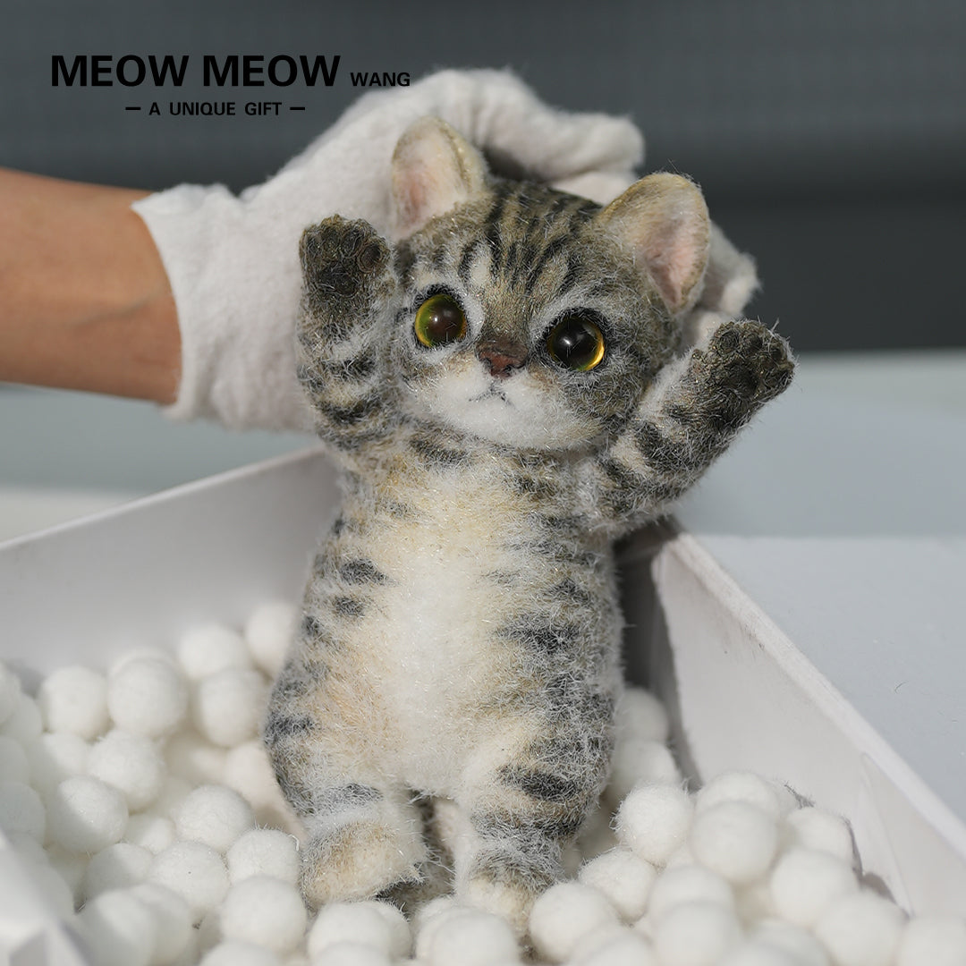 A09:Handsome Yellow-Green Eyed Cat