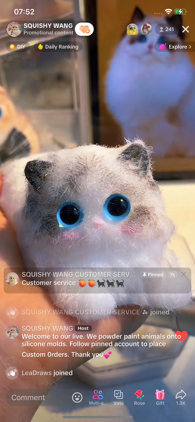 E004:  New Squishy Ragdoll Kitty/ Princess Kitty