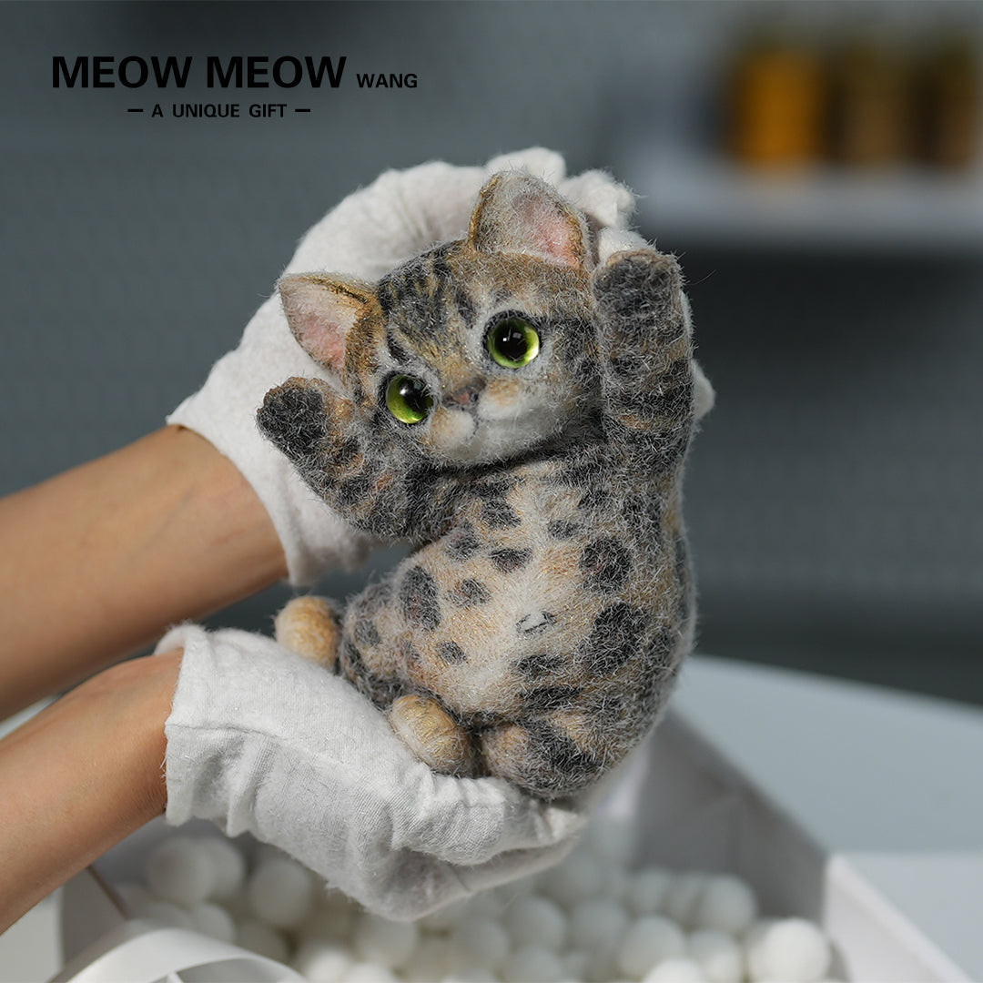 A10:(Bengal Leopard Cat) Super Special King Leo Slim Kitty