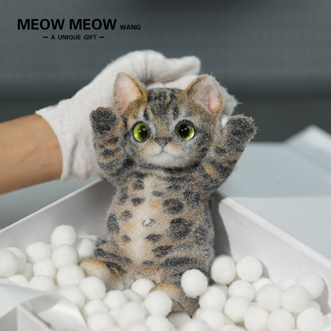 A10:(Bengal Leopard Cat) Super Special King Leo Slim Kitty