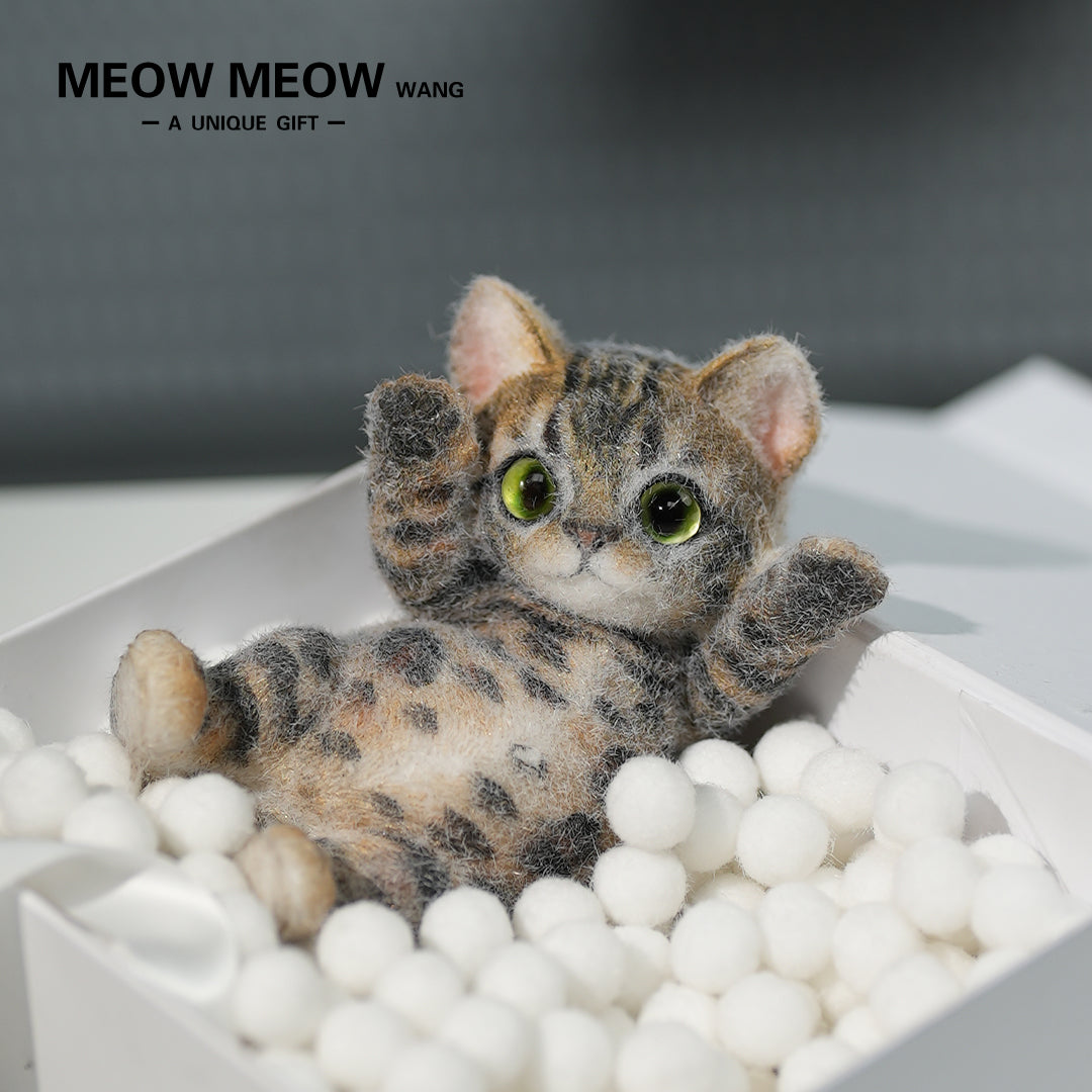 A10:(Bengal Leopard Cat) Super Special King Leo Slim Kitty