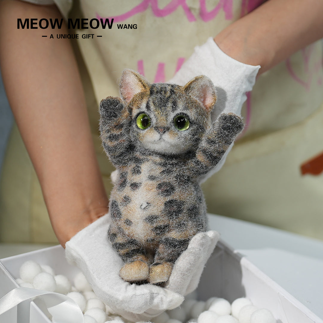 A10:(Bengal Leopard Cat) Super Special King Leo Slim Kitty