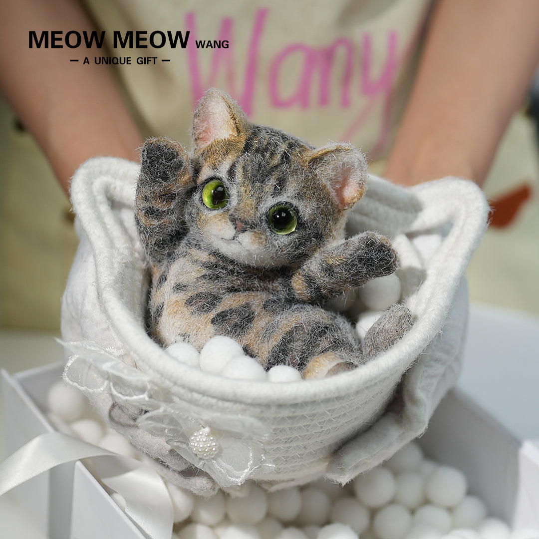 A10:(Bengal Leopard Cat) Super Special King Leo Slim Kitty