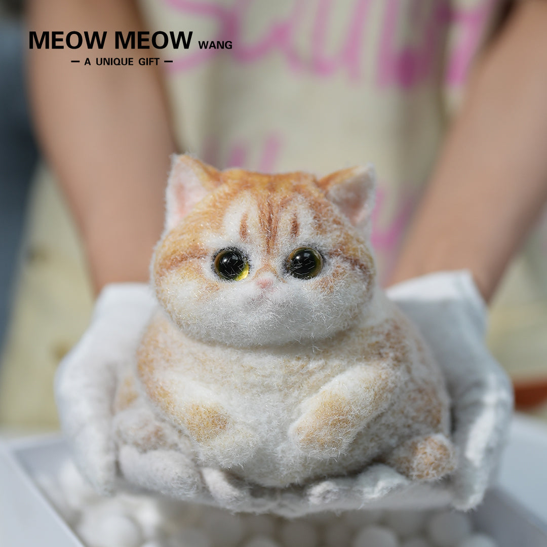 C19:A Round And Chubby Pumpkin Cat