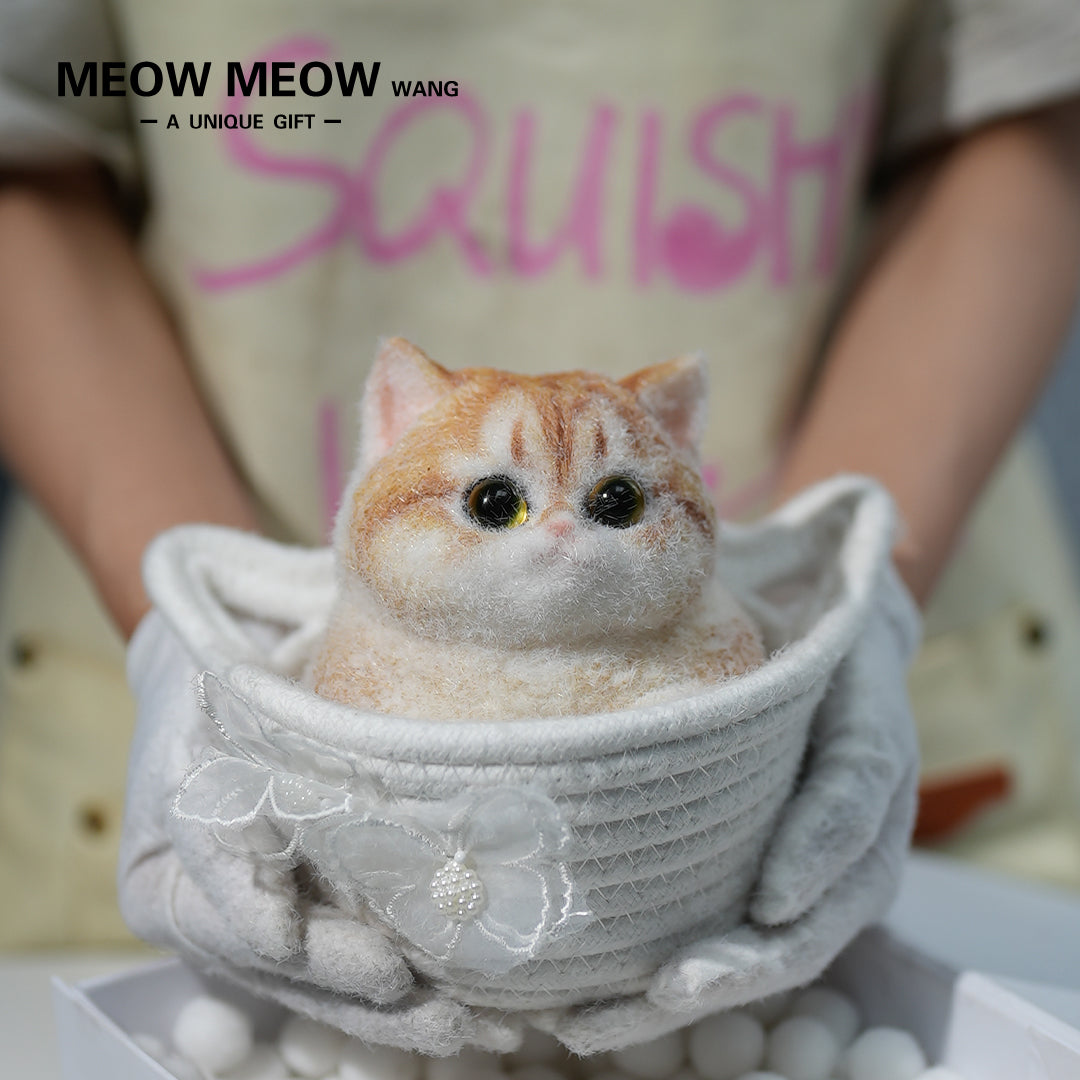 C19:A Round And Chubby Pumpkin Cat