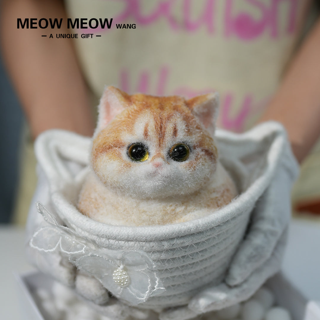C19:A Round And Chubby Pumpkin Cat