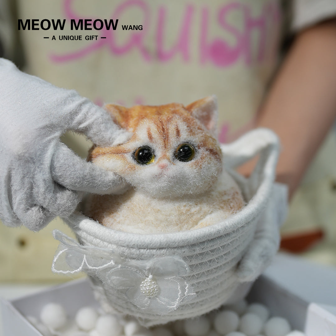 C19:A Round And Chubby Pumpkin Cat