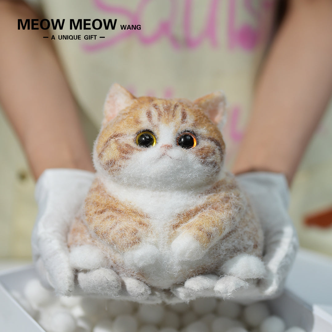 A08:Super Cute Fluffy Orange Cat