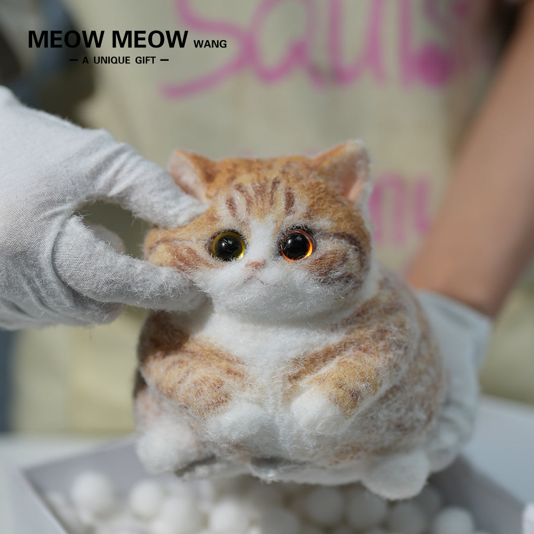 A08:Super Cute Fluffy Orange Cat