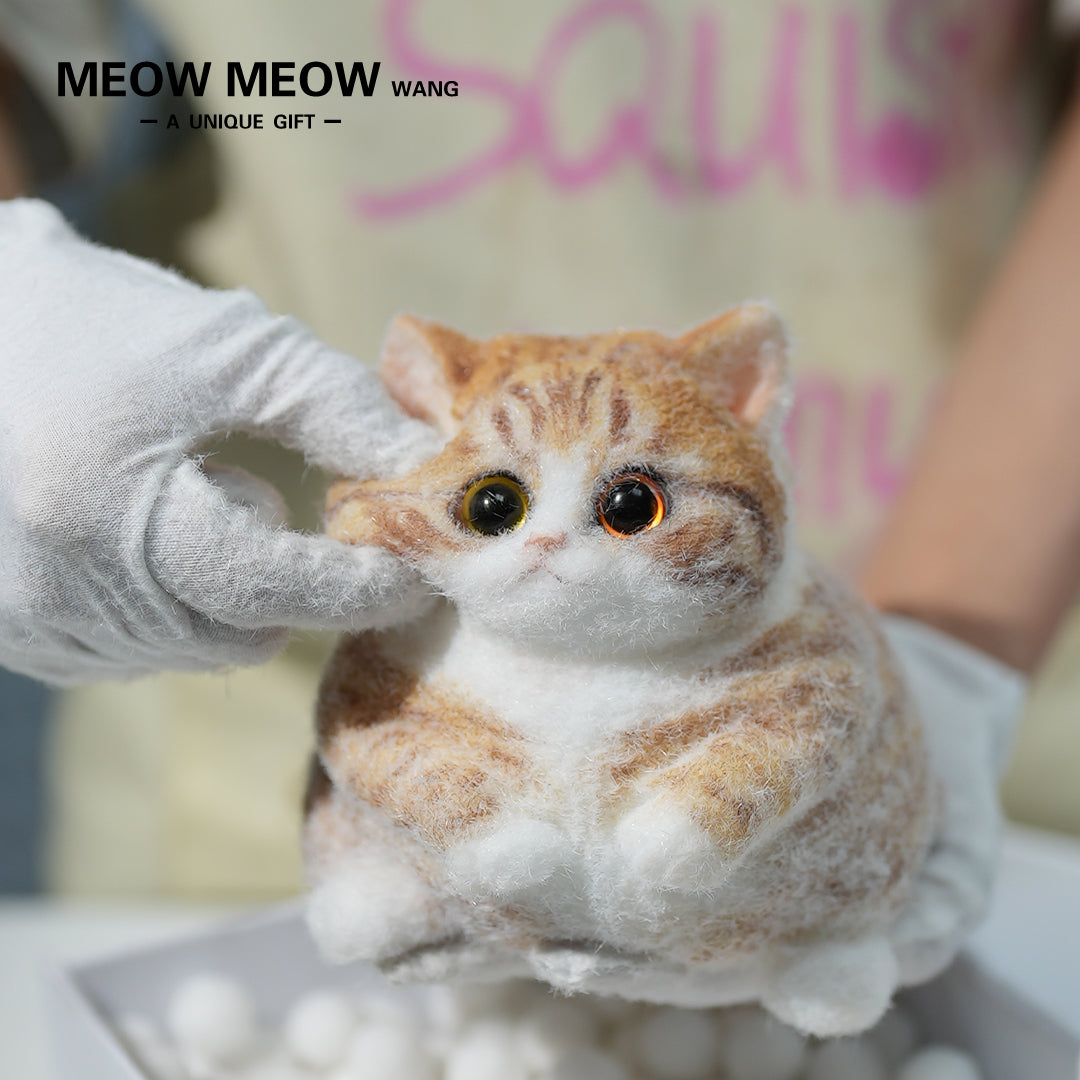 A08:Super Cute Fluffy Orange Cat