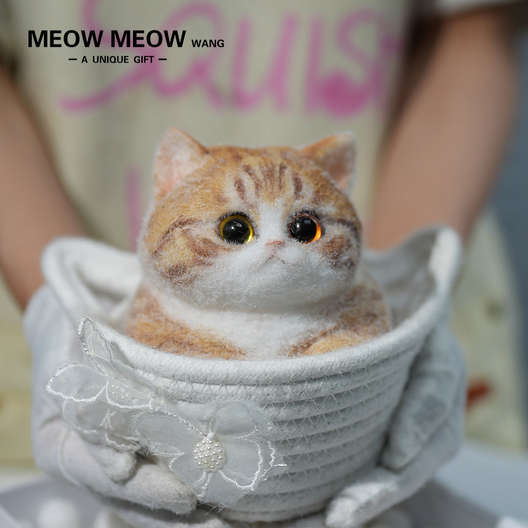 A08:Super Cute Fluffy Orange Cat