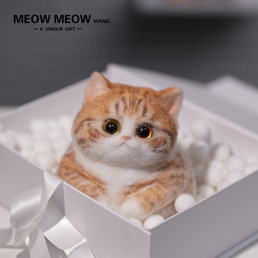 A08:Super Cute Fluffy Orange Cat
