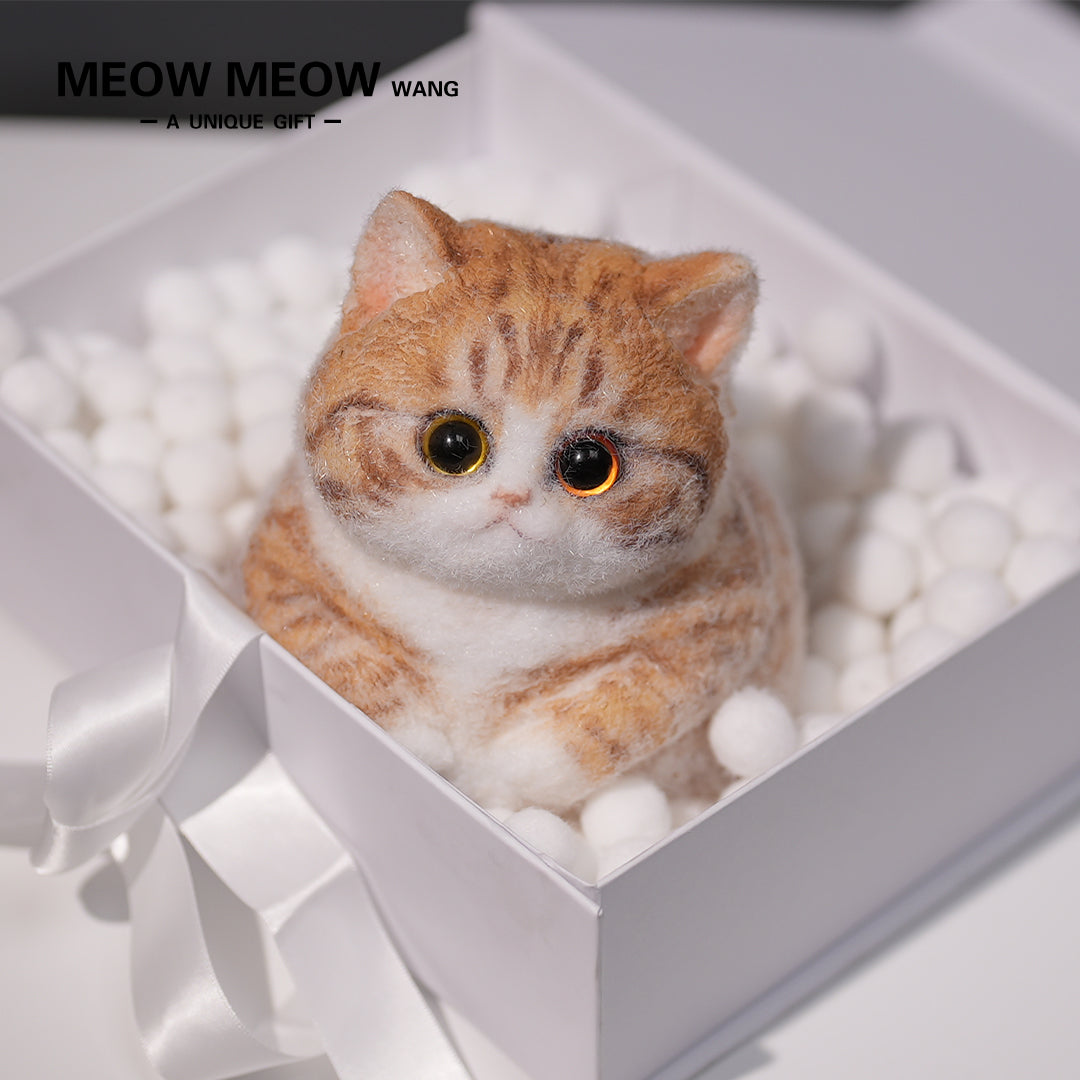 A08:Super Cute Fluffy Orange Cat