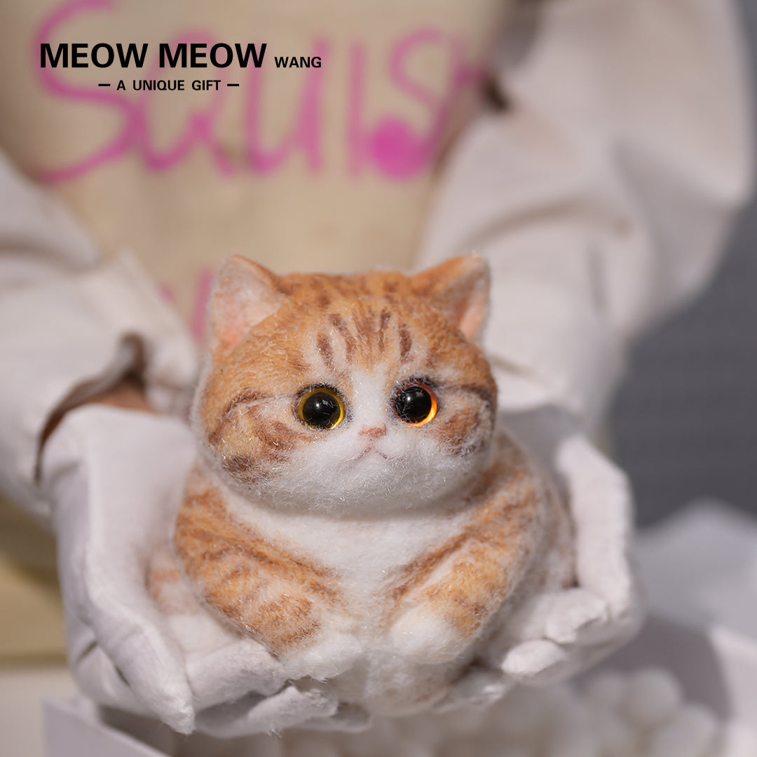 A08:Super Cute Fluffy Orange Cat