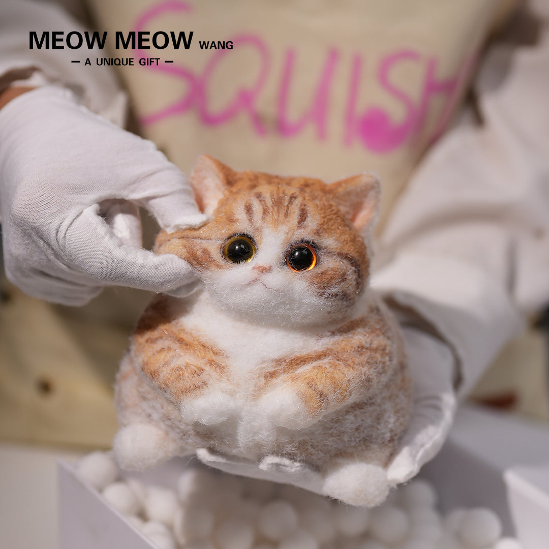 A08:Super Cute Fluffy Orange Cat