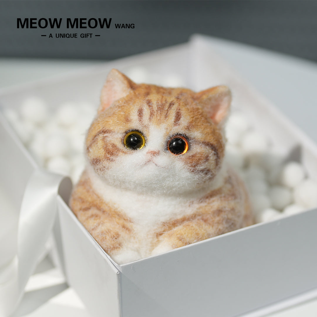 A08:Super Cute Fluffy Orange Cat
