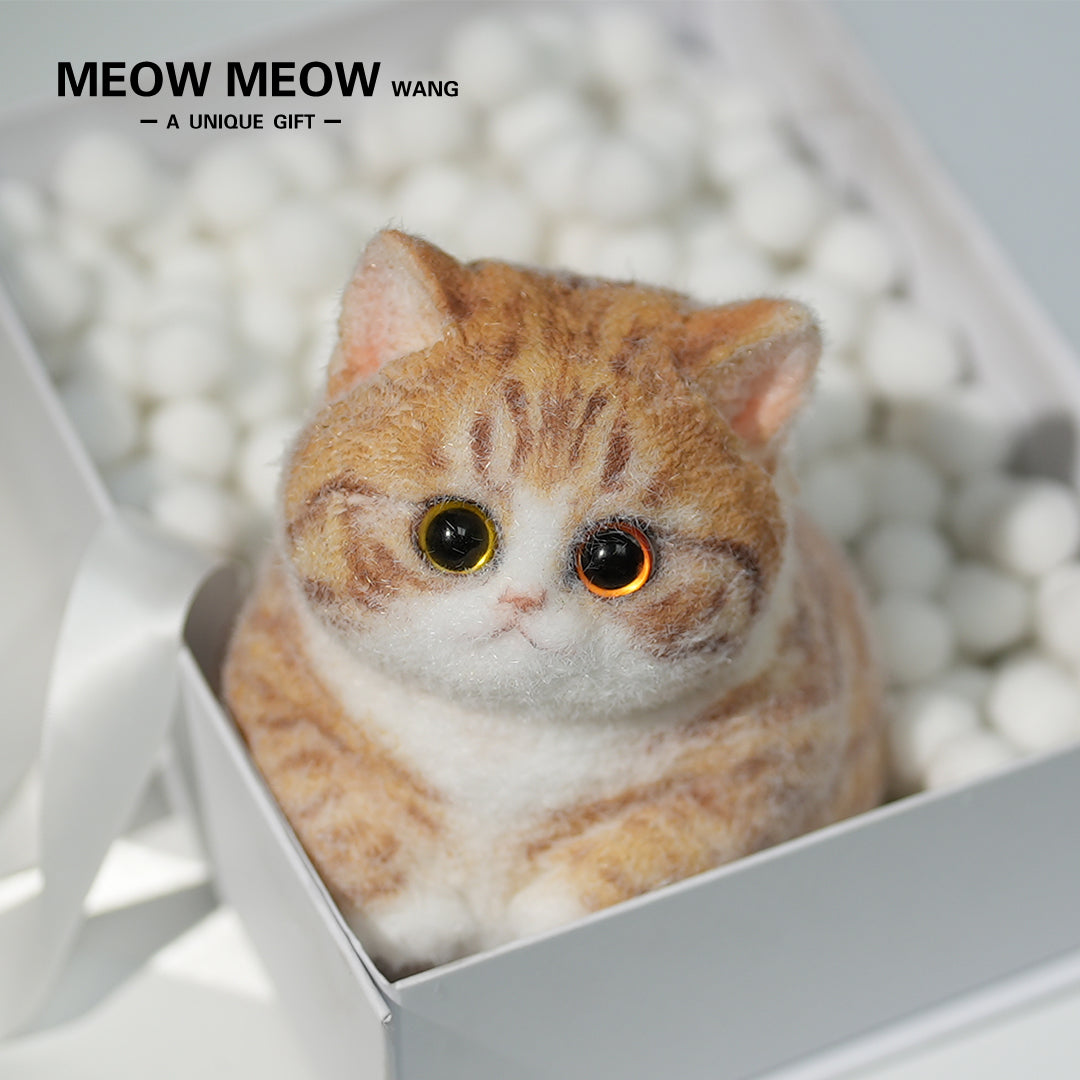 A08:Super Cute Fluffy Orange Cat