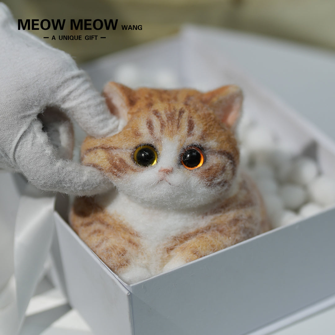 A08:Super Cute Fluffy Orange Cat