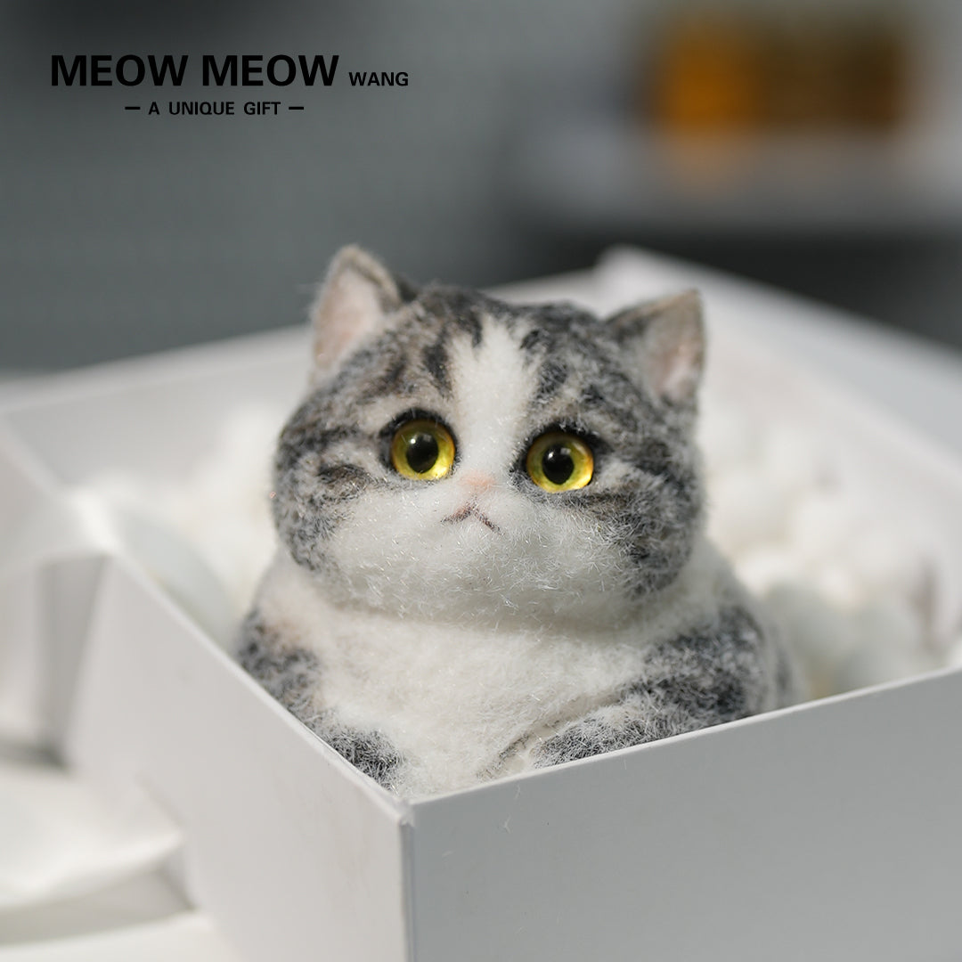 C03:Super Cute Gray Squishy Chubby kitty
