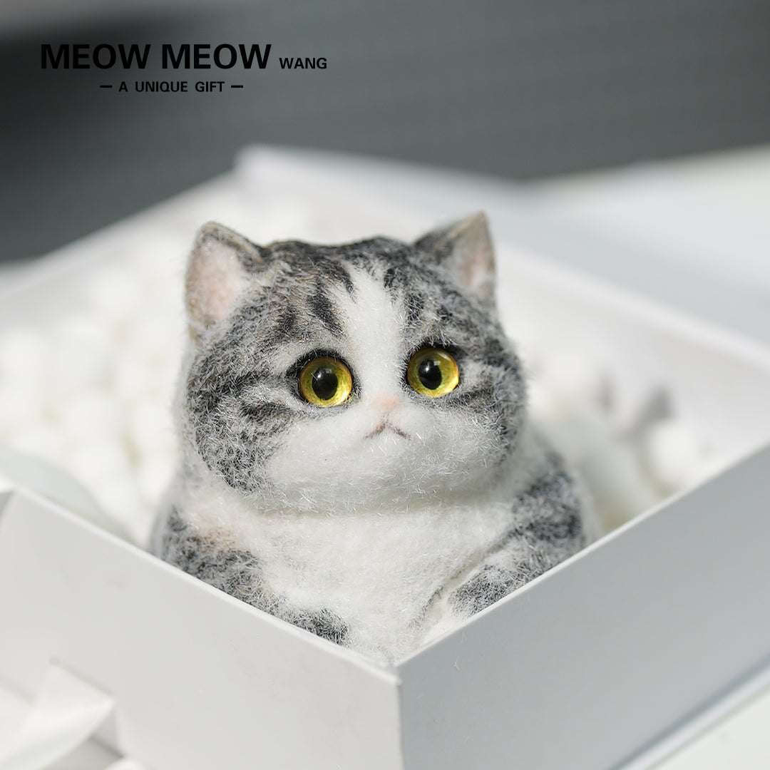 C03:Super Cute Gray Squishy Chubby kitty