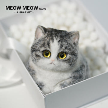 C03:Super Cute Gray Squishy Chubby kitty