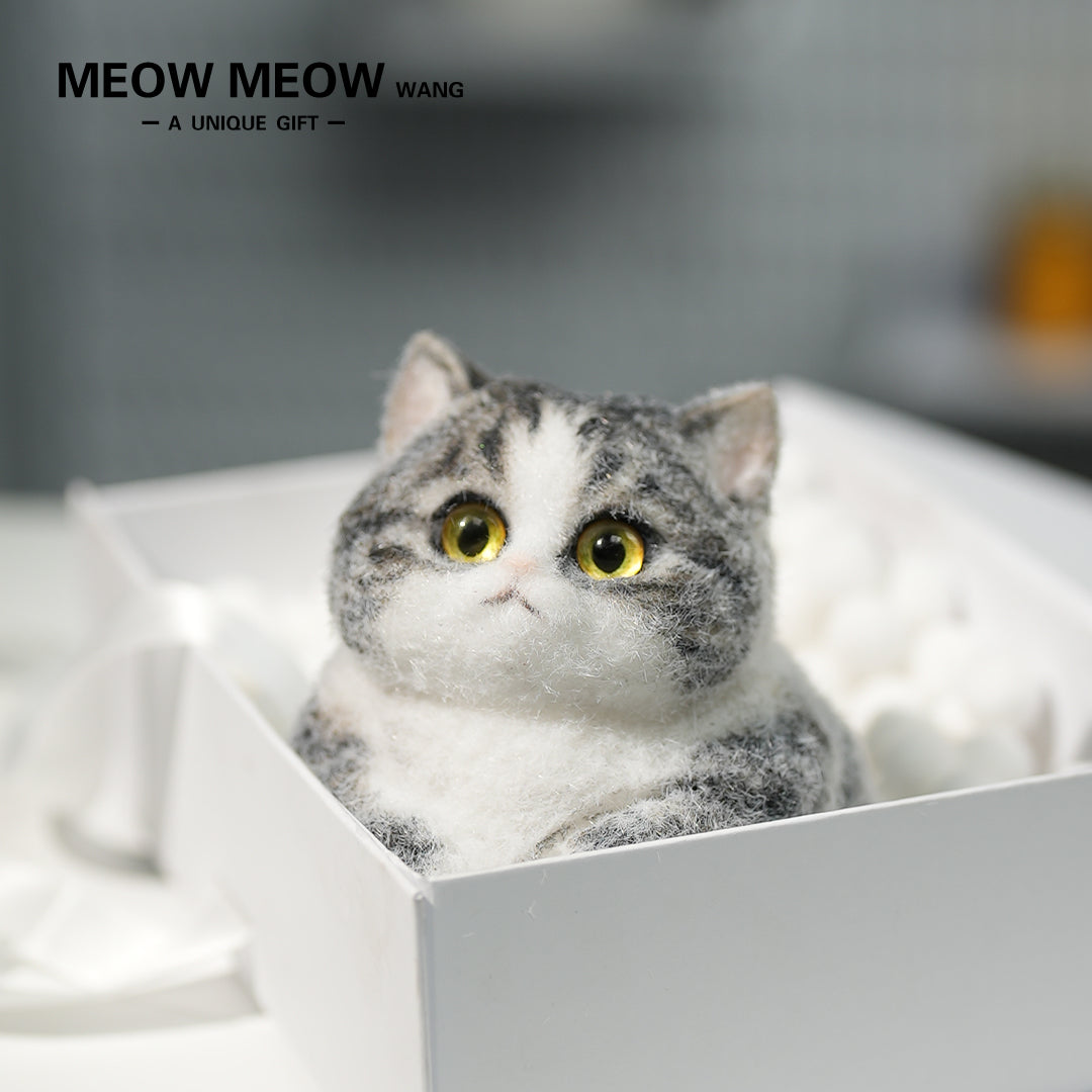 C03:Super Cute Gray Squishy Chubby kitty