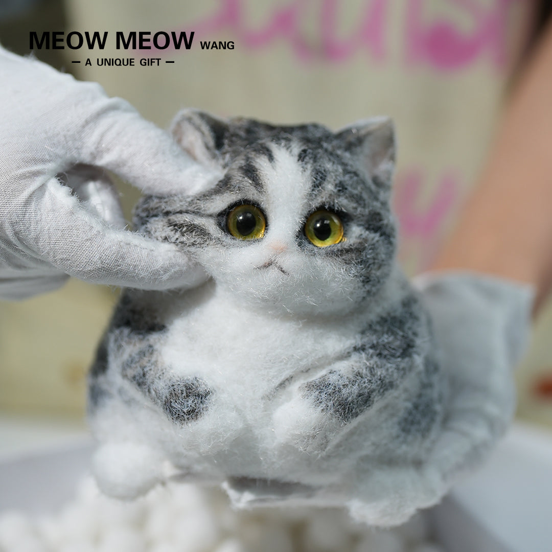 C03:Super Cute Gray Squishy Chubby kitty