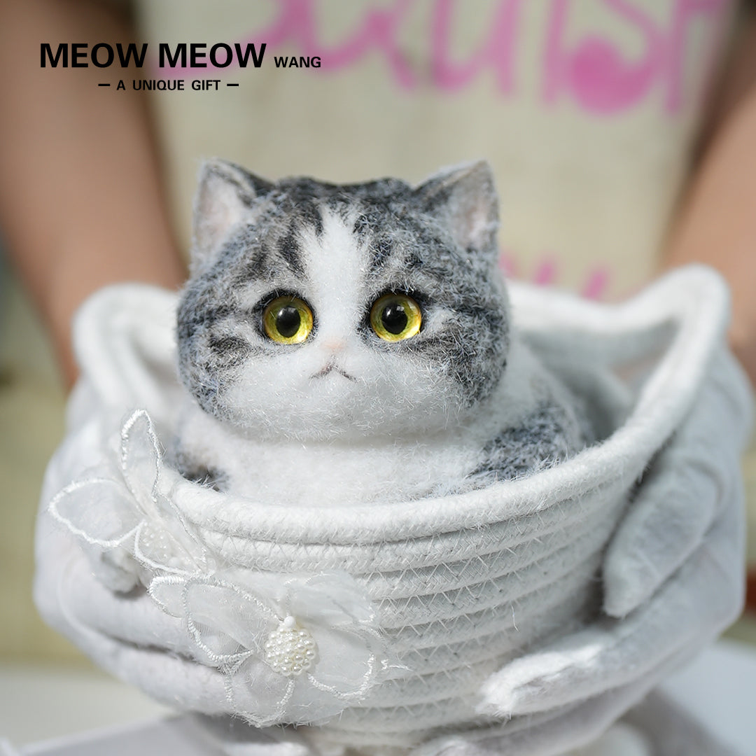 C03:Super Cute Gray Squishy Chubby kitty