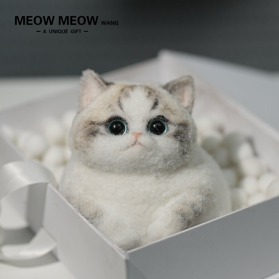 A13:Chubby Fluffy Squishy Ragdoll with Pink Nose