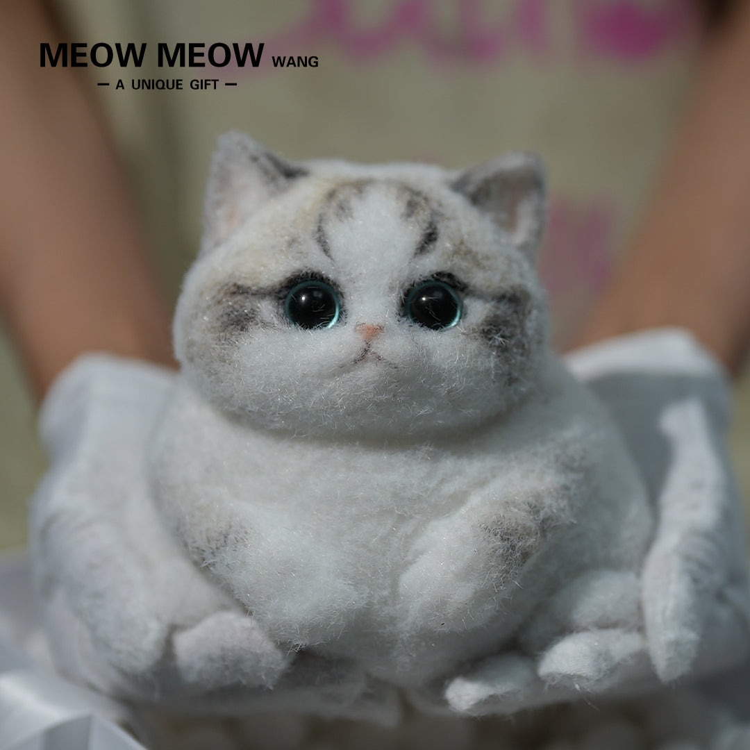 A13:Chubby Fluffy Squishy Ragdoll with Pink Nose