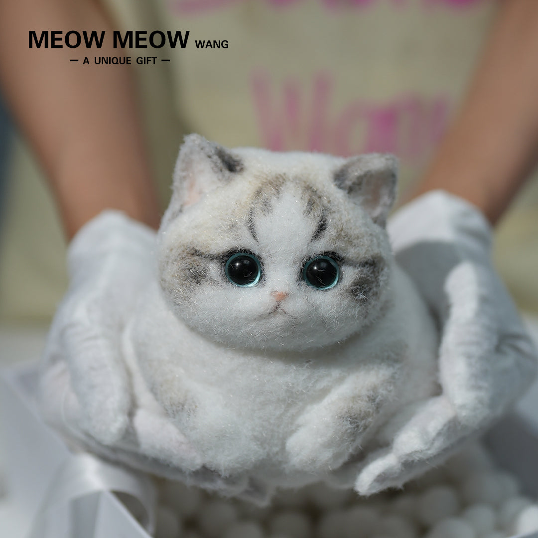A13:Chubby Fluffy Squishy Ragdoll with Pink Nose
