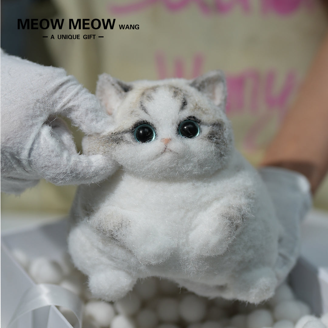 A13:Chubby Fluffy Squishy Ragdoll with Pink Nose