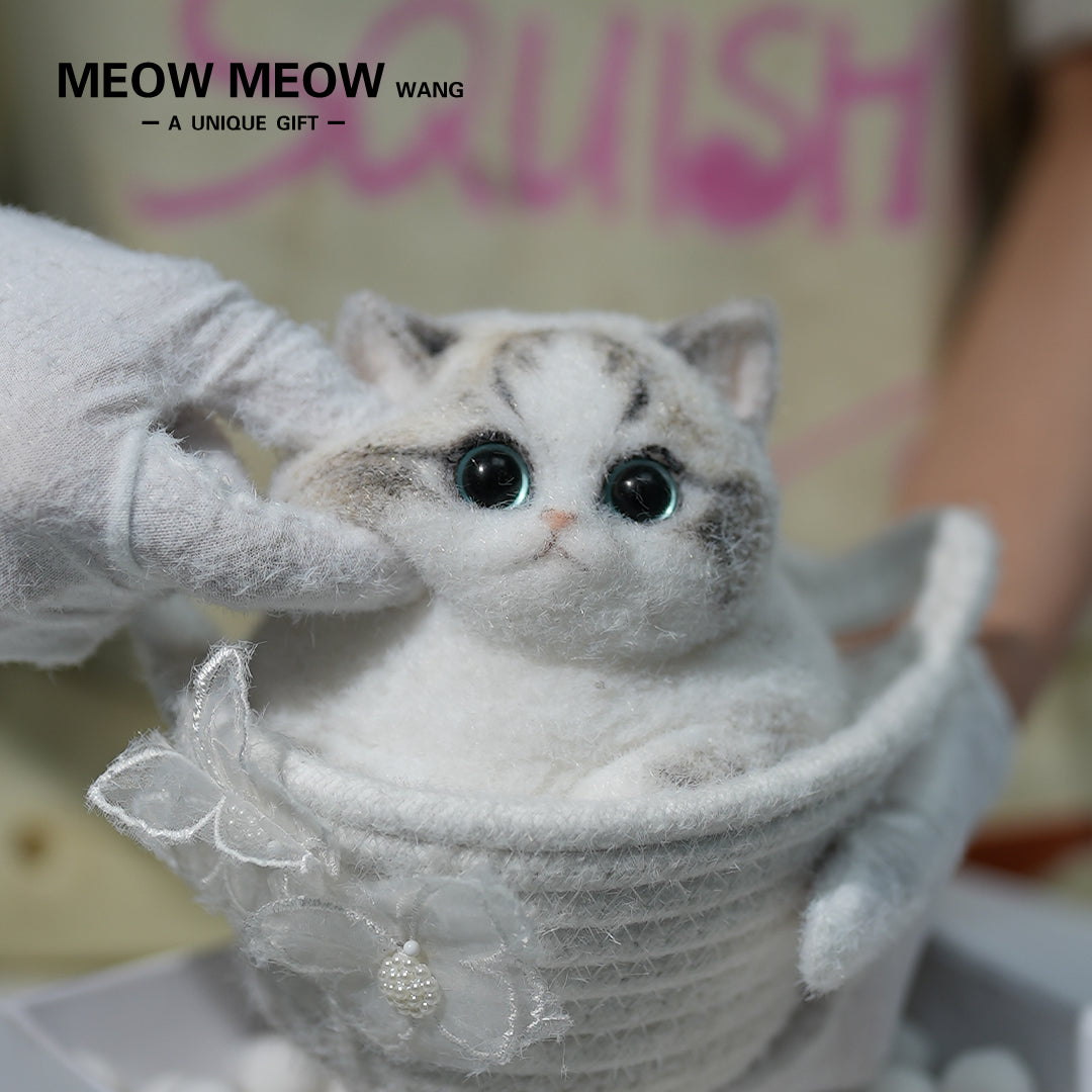 A13:Chubby Fluffy Squishy Ragdoll with Pink Nose