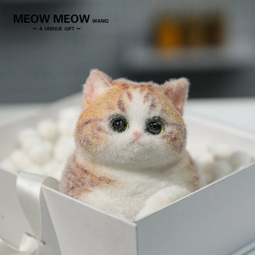 C09: Rare Fat Orange Cat With Green Eyes