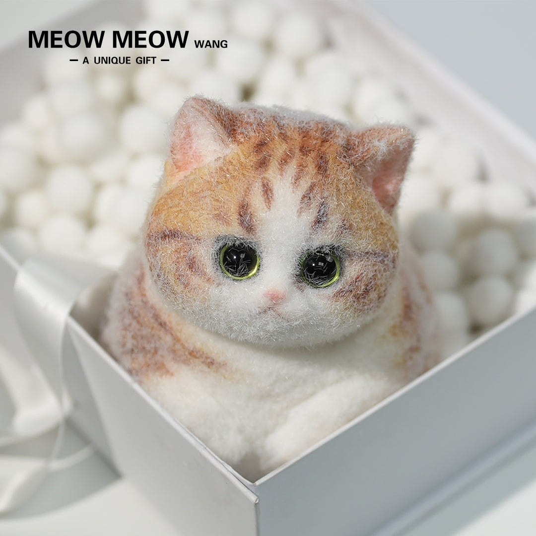 C09: Rare Fat Orange Cat With Green Eyes