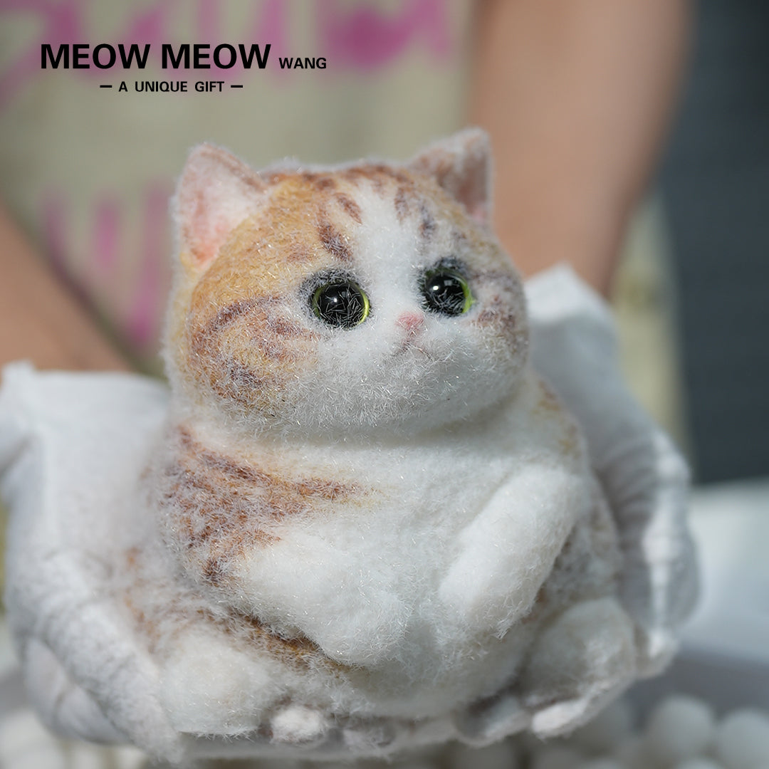 C09: Rare Fat Orange Cat With Green Eyes